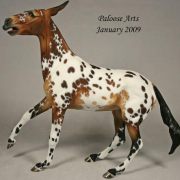 Appaloosa
