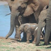 South Africa