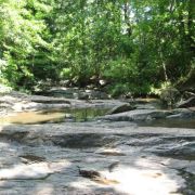 UNC_Nature_Center