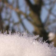Winter 2012