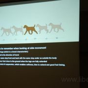 Anatomy seminar Vilnius 2009