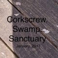 Corkscrew Swamp Sanctuary 2017 January