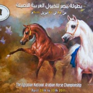The Egyptian National Arabian Horse Championship - April 2011