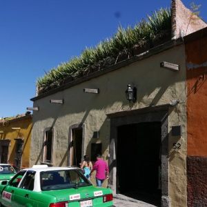 2018 San Miguel de Allende