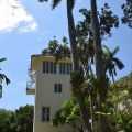 Cuba Hemingway House