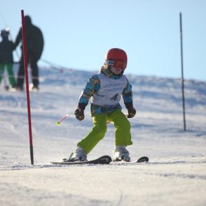 Alpine Bezirksmeisterschaften 2017
