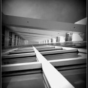 Den Haag