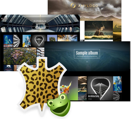 Customize with Skins