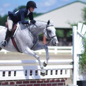 HORSE SHOW
