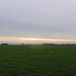 Zottegem 20-10-2024