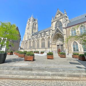 06.2025 • Schatzkammer Tongeren