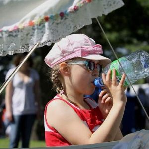 Summer in the colors