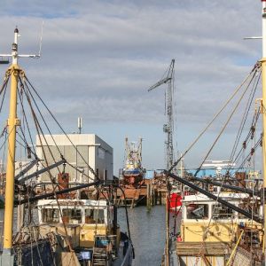12e Sportvissersloop Yerseke 2023