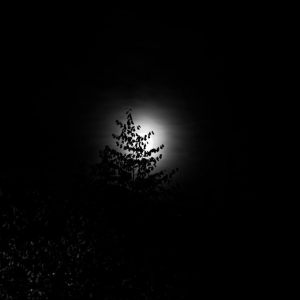 Mond Juni 2026