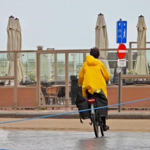 STIENESTEEKERS 168 - Belgium