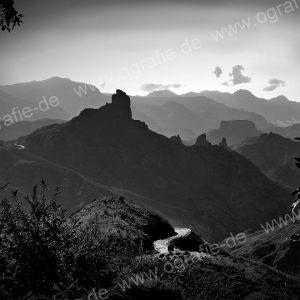 Die 20 neuesten Fotos