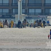 HORSEBACKFISHERMEN 552 - Belgium
