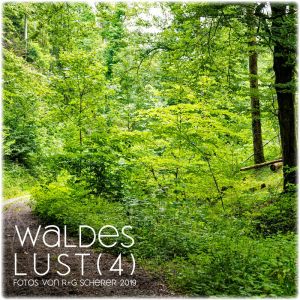 Waldes Lust  4