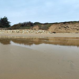 Travaux La Rémigeasse