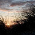 Travel - Places, Subjects and Scenery
