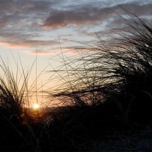 Travel - Places, Subjects and Scenery