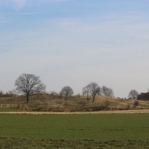 Tervuren 9-3-2025