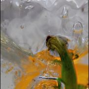 in 't water