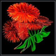 Incendia EX 001