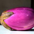 Aubergines et autres légumes