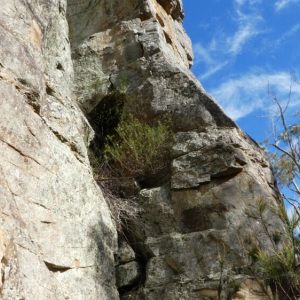 Panopticon Sand River 2025