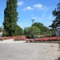 Roseraie du parc de la mairie