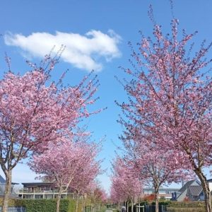 2.4.2025  Spaziergang in und um Kempen