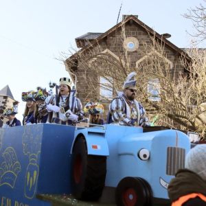 Karnevalsumzug Miesenheim