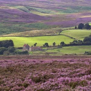Ceri Jones Photographer and Artist