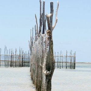 São Miguel dos Milagres - Alagoas - Brasil