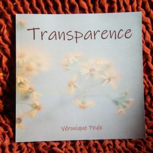 transparence - le livre