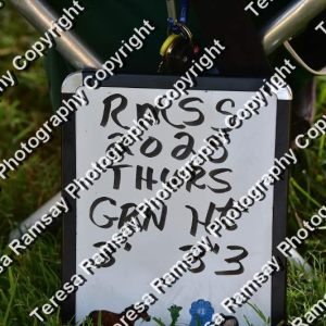 10 - 2025  Rose Mount Summer Show