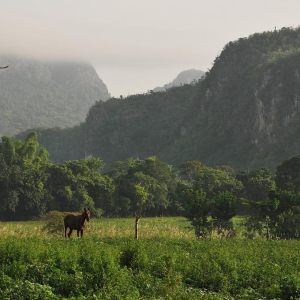 Cuba Valle de Vinales