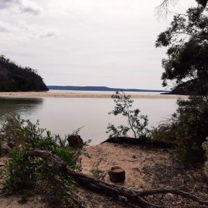 2025 southcoast walk