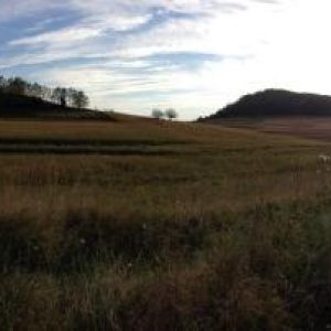 sele CUND _ sept2014