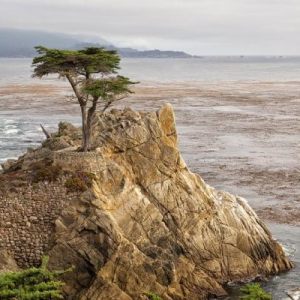 Pebble Beach and Pacific Grove