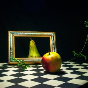 photographes itinerants