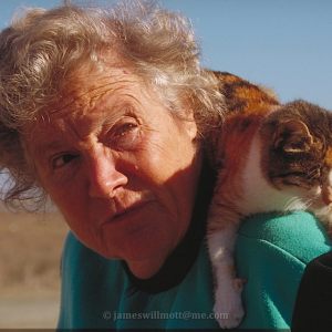 Cats of Cyprus and Greek Islands