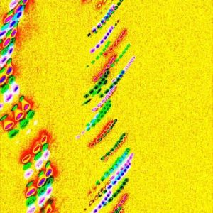 DNA      /       ADN