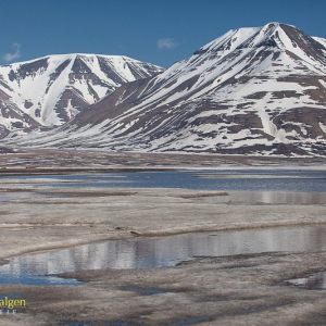 Spitsbergen