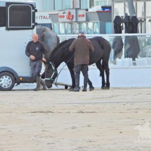 HORSEBACKFISHERMEN 595- Belgium
