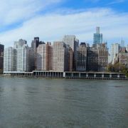 New York 19