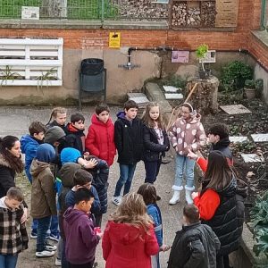 Fotos huerto escolar 4º de primaria en enero