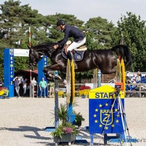 2014 - FEI World Breeding Jumping Championships for Young Horses
