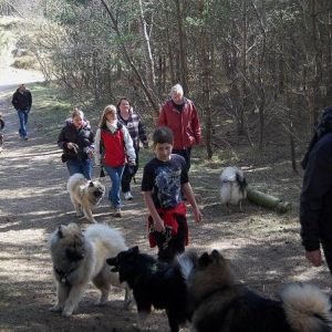 Eurasier Walk March 2010